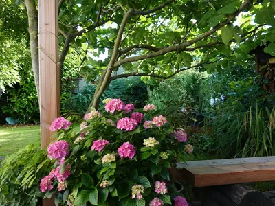 Ferienwohnung Guddat, Garten 2