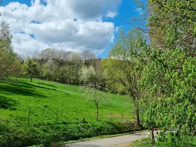 Fewo Am Kirchberg-Ausblick Westbalkon