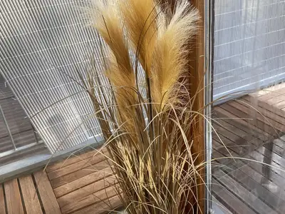 Ferienwohnung Blcik ins Grüne, Wintergarten Gräser