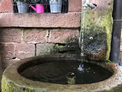 Ferienwohnungen Hanst-Brunnen