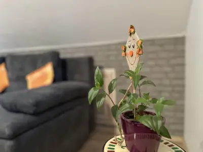 Ambiente / Nahaufnahme