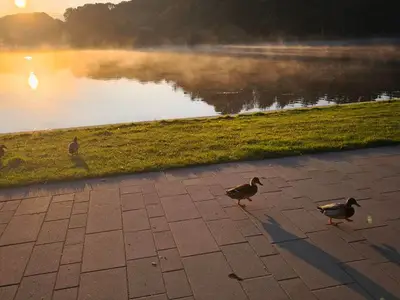 Ferienwohnung für 3 Personen (39 m²) in Bad Segeberg 6/10