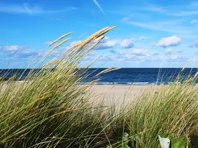 Ferienwohnung für 5 Personen (75 m²) in Karlshagen 7/10