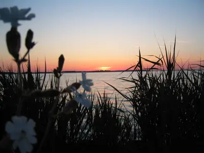 Ferienwohnung für 2 Personen (64 m²) in Rechlin Nord 9/10