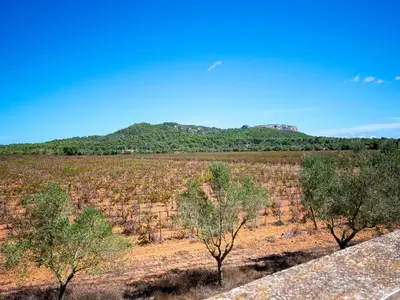 Ferienwohnung für 10 Personen (200 m²) in Felanitx 8/10