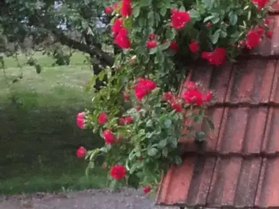 Ferienwohnung für 5 Personen (55 m²) in Sankt Anna am Aigen 3/10