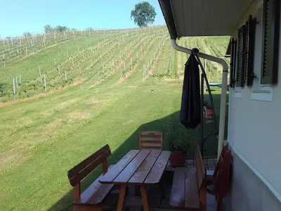 Ferienwohnung für 5 Personen (55 m²) in Sankt Anna am Aigen 6/10