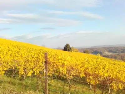 Ferienwohnung für 5 Personen (55 m²) in Sankt Anna am Aigen 8/10