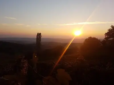 Ferienwohnung für 5 Personen (55 m²) in Sankt Anna am Aigen 10/10