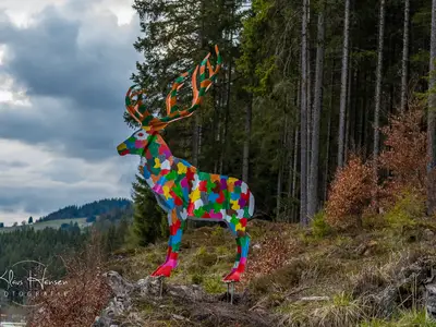 Ferienwohnung für 4 Personen (70 m²) in Titisee-Neustadt 3/10