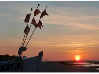 Ferienwohnung für 3 Personen (41 m²) in Koserow (Seebad) 4/10