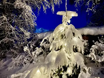 Frohe Weihnachten 2021