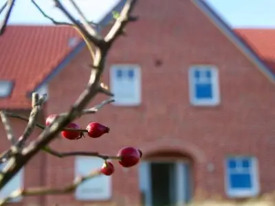 Ferienwohnung für 5 Personen (88 m²) in Baltrum 4/10