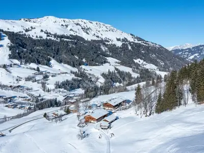 Ferienwohnung für 4 Personen (62 m²) in Kirchberg in Tirol 6/10