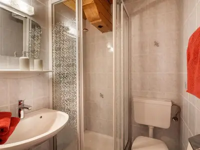 Ferienwohnung für 4 Personen (62 m²) in Kirchberg in Tirol 8/10