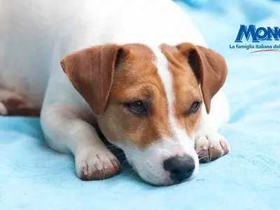 Ferienwohnung für 2 Personen (20 m²) in Pula 3/10