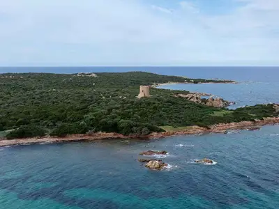 Ferienwohnung für 3 Personen (30 m²) in Baja Sardinia 6/10