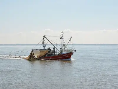 Ferienwohnung für 4 Personen (65 m²) in Krummhörn Greetsiel 3/10