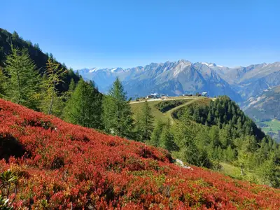 IMG-20231206-WA0021[1]