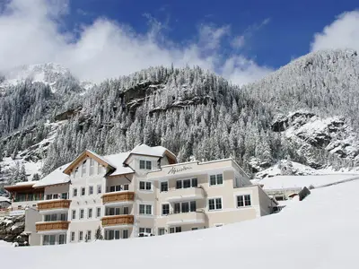 Alpenstern Winteransicht