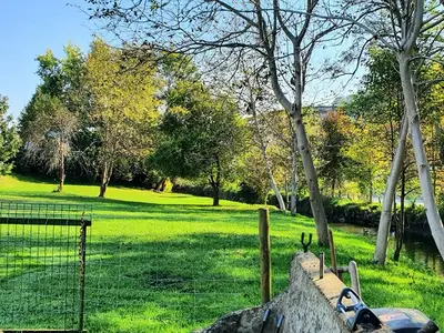 Ferienwohnung für 4 Personen (71 m²) in Mureck 3/10