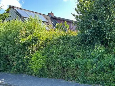 Ferienwohnung für 3 Personen (60 m²) in Cuxhaven 3/7