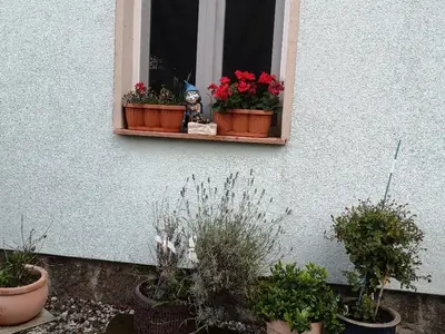 Ferienwohnung für 2 Personen (45 m²) in Stadt Brandis 2/10