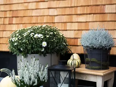 Ferienwohnung für 4 Personen (44 m²) 2/10