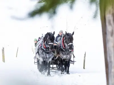 Ferienwohnung für 6 Personen (67 m²) 9/10