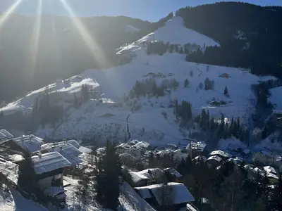 Blick über Mühlbach