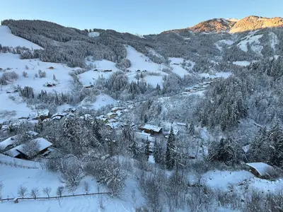 Blick über Mühlbach