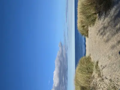 Ferienwohnung für 4 Personen (55 m²) 3/10