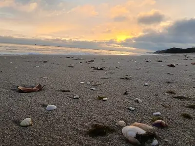 Ferienwohnung für 4 Personen (55 m²) 7/10