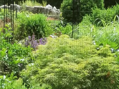 Ferienwohnung für 4 Personen (86 m²) in Obertrubach 6/10