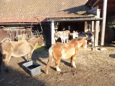 Ferienwohnung für 4 Personen (55 m²) in Stadt Berching 1/10