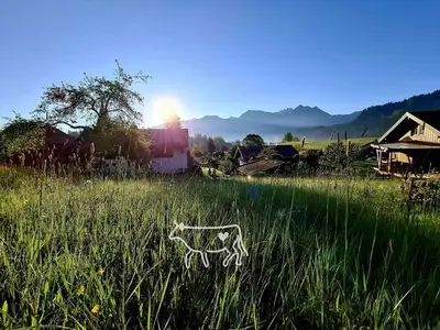 Ferienwohnung für 4 Personen (66 m²) in Obermaiselstein 10/10