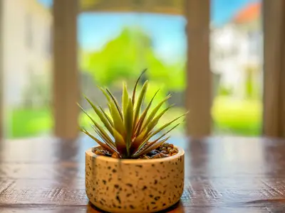 Dekoratives Detail im Wohnbereich