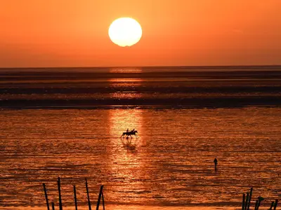 Ferienwohnung für 3 Personen (50 m²) in Cuxhaven 10/10