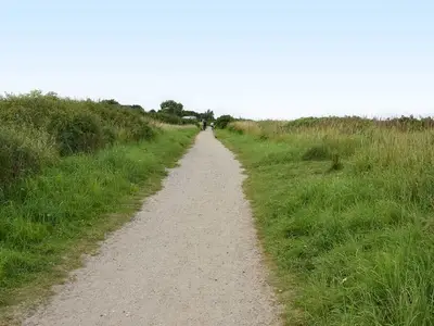 Ferienwohnung für 4 Personen (75 m²) in Gelting 5/10