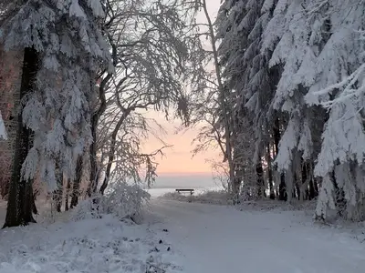 Winterimpressionen Buchholzer Wald