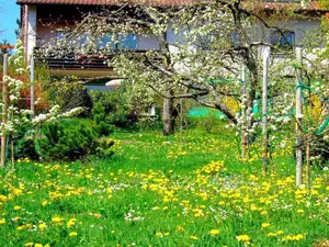 Ferienwohnung für 2 Personen (76 m²) in Rottweil