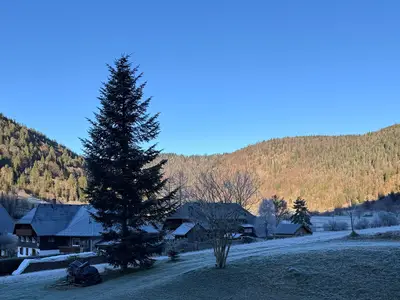 Ferienwohnung für 9 Personen (110 m²) in Sankt Blasien 4/10