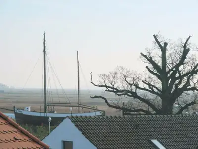 Blick über die Boddenlandschaft