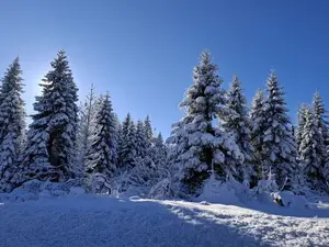Ferienwohnung für 2 Personen (53 m²) in Basche