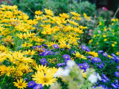 de-heuhoff-hedwigsruh_garten-und-heu-25