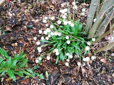 Ferienwohnung für 4 Personen (81 m²) in Obertrubach 8/10
