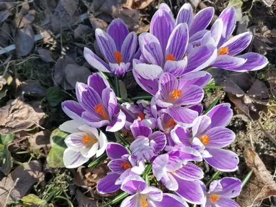 Ferienwohnung für 4 Personen (81 m²) in Obertrubach 9/10