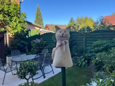 Ferienwohnung für 4 Personen (60 m²) in Benz (Usedom) 3/10