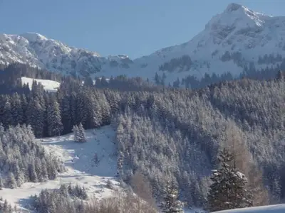 Ferienwohnung für 5 Personen (85 m²) in Haldensee 3/10