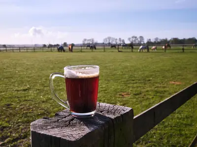 Traberhof - träumen am Weidetor